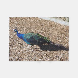 Indian Blue Peafowl fleece blanket