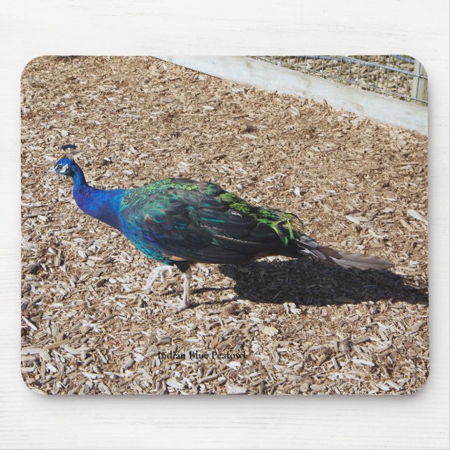 Indian Blue Peafowl mousepad (Front)