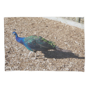 Indian Blue Peafowl pillowcase