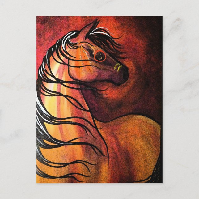 Indian Buckskin War Horse Postcard (Front)
