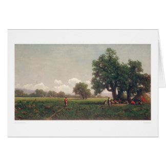 Indian Camps (0716A)