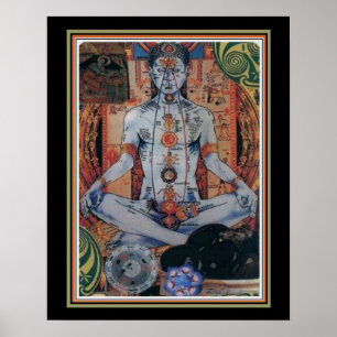 Indian Chakra 16 x 20 Poster