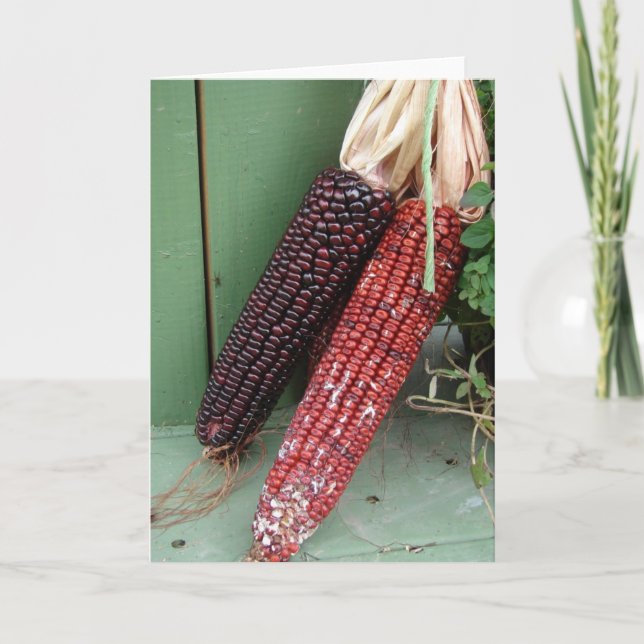 Indian Corn Autumn or Thanksgiving Greeting Card (Front)