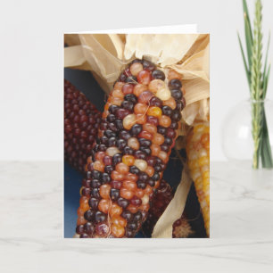 Indian Corn Card