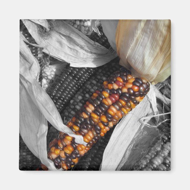 Indian Corn Magnet (Front)