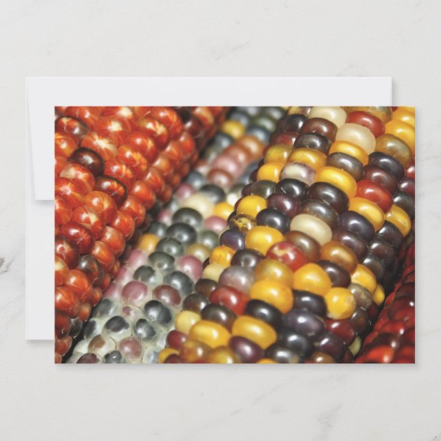 Indian Corn on the Cob Variety Invitation (Front)