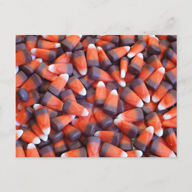 Indian Corn Postcard (Front)