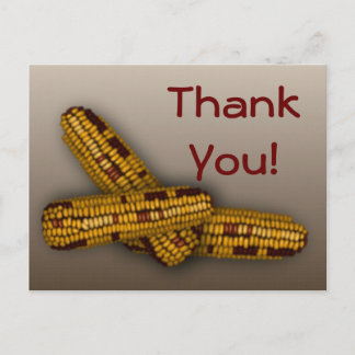 Indian Corn Postcard
