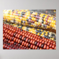 Indian Corn rustic photo