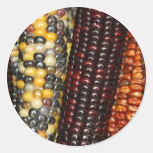 Indian Corn Variety Stickers