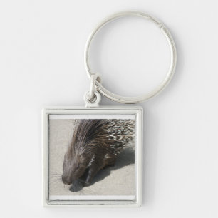 Indian Crested Porcupine Key Ring