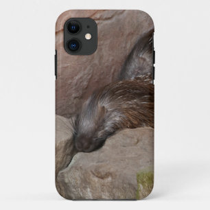 Indian Crested Porcupines iPhone 11 Case