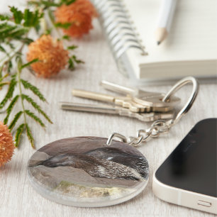 Indian Crested Porcupines Key Ring