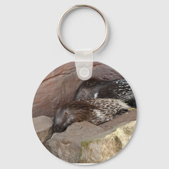 Indian Crested Porcupines Key Ring (Front)