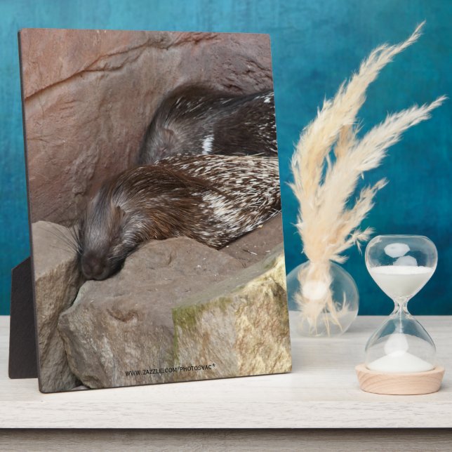 Indian Crested Porcupines Plaque (Side)