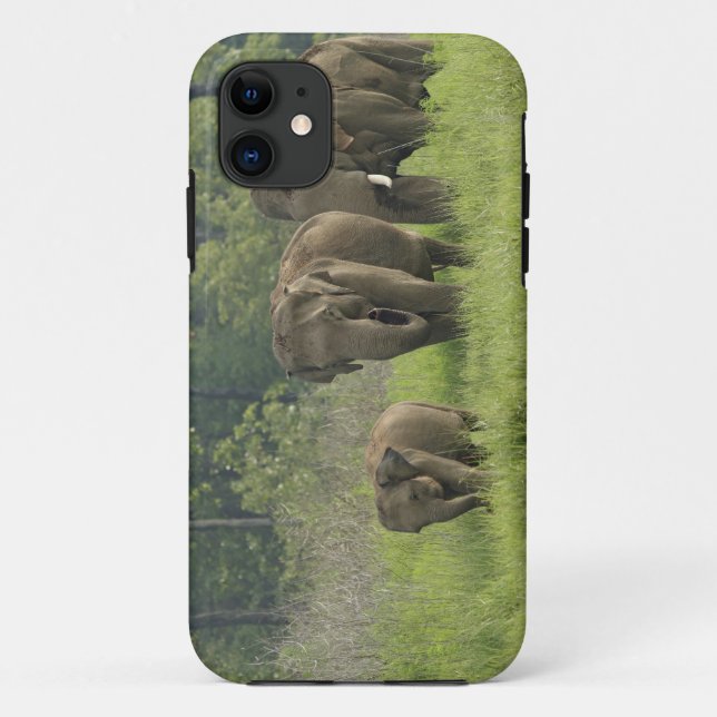 Indian Elephant Family Case-Mate iPhone Case (Back)