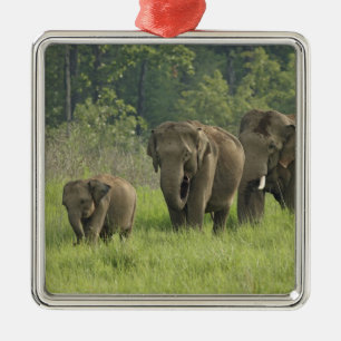 Indian Elephant Family Metal Tree Decoration