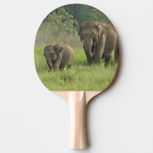 Indian Elephant Family Ping Pong Paddle