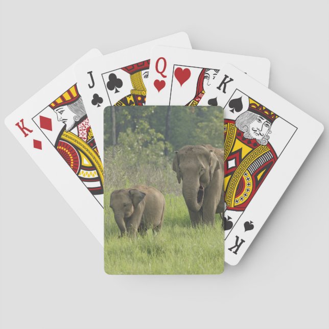 Indian Elephant Family Playing Cards (Back)