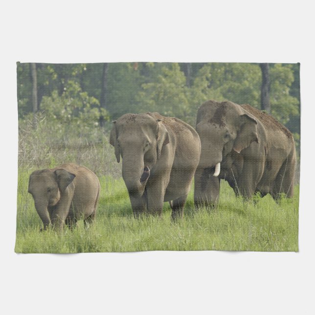 Indian Elephant Family Tea Towel (Horizontal)