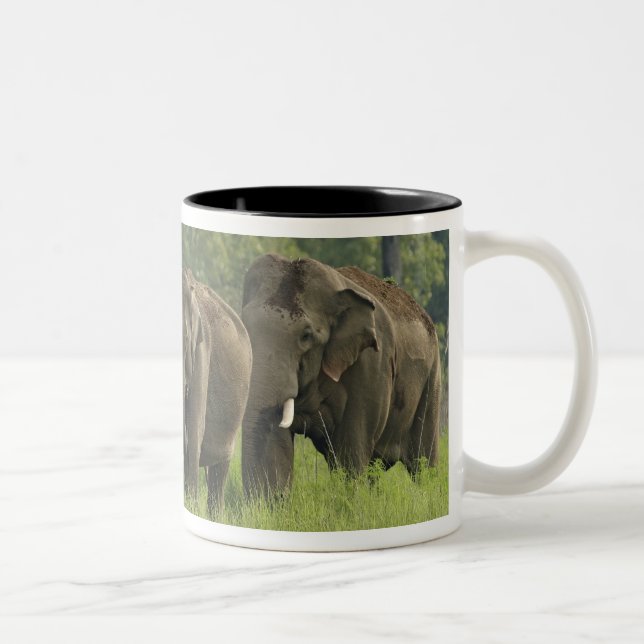 Indian Elephant Family Two-Tone Coffee Mug (Right)