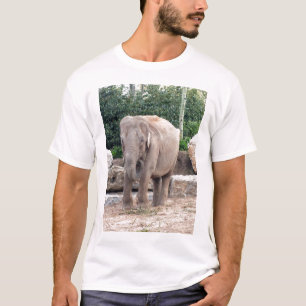 Indian elephant feeding T-Shirt