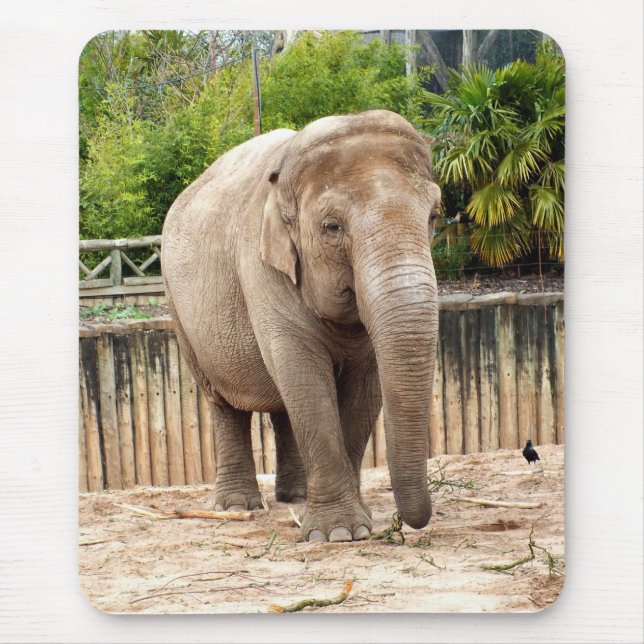 Indian elephant mouse mat (Front)