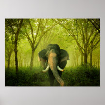 Indian Elephant Stunning Large Mammal Green Forest