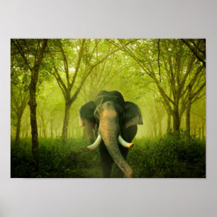 Indian Elephant Stunning Large Mammal Green Forest Poster