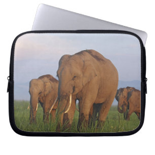 Indian Elephants in the Grassland Laptop Sleeve