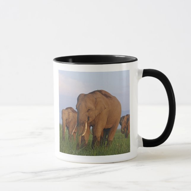 Indian Elephants in the Grassland Mug (Right)