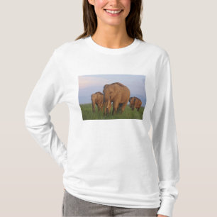 Indian Elephants in the Grassland T-Shirt