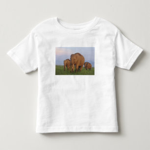 Indian Elephants in the Grassland Toddler T-Shirt