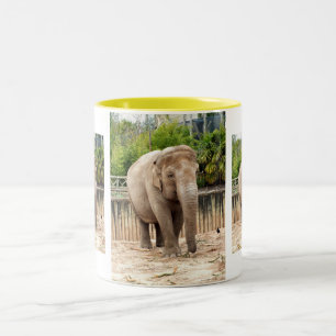 Indian elephants Two-Tone coffee mug
