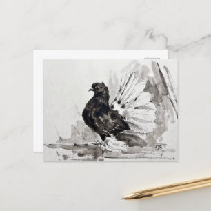 Indian Fantail Pigeon Eyeliner Hen Postcard