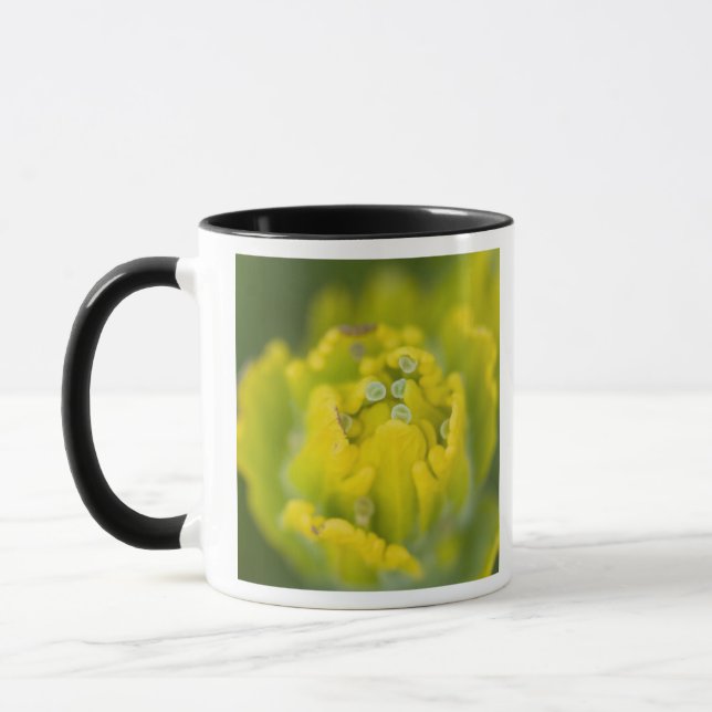 Indian Golden Paintbrush Castilleja 2 Mug (Left)