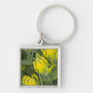 Indian Golden Paintbrush Castilleja Key Ring