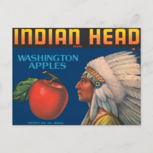 Indian Head Postcard