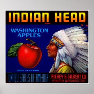 Indian Head Poster