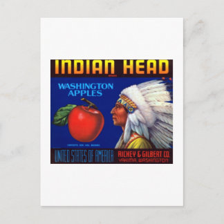 Indian Head Washington Apples Postcard