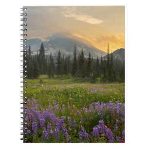 Indian Henry's Hunting Ground at sunrise Notebook