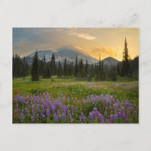 Indian Henry's Hunting Ground at sunrise Postcard