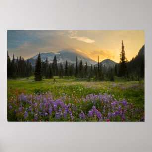 Indian Henry's Hunting Ground at sunrise Poster