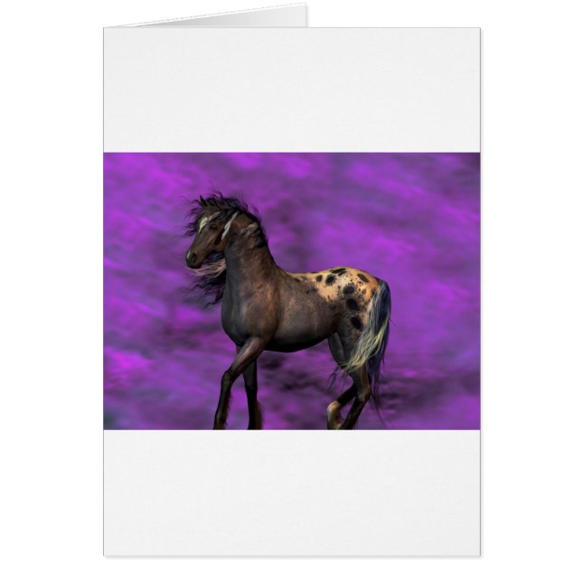 Indian Horse (Front)