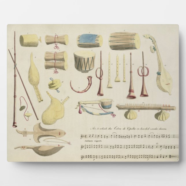 Indian Musical Instruments, plate 23 from 'Orienta Plaque (Front)