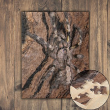 Indian Ornamental Tarantula Bark