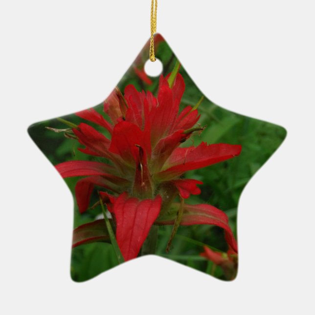 Indian paint brush ceramic tree decoration (Front)