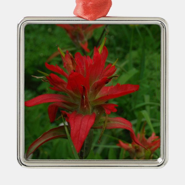 Indian paint brush metal tree decoration (Front)