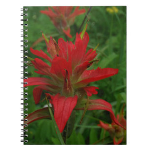 Indian paint brush notebook