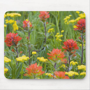 Indian paintbrush and biscuitroot wildflowers mouse mat